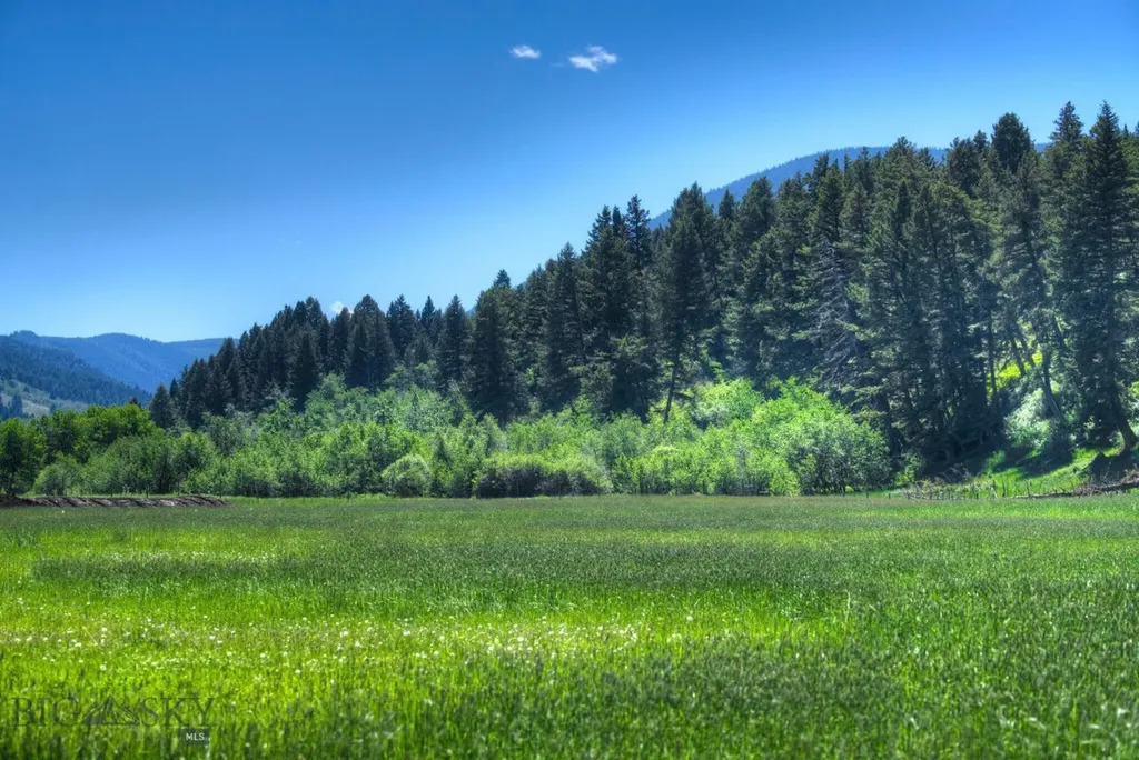 13830 (Tract C) Cottonwood Road Bozeman MT 59718