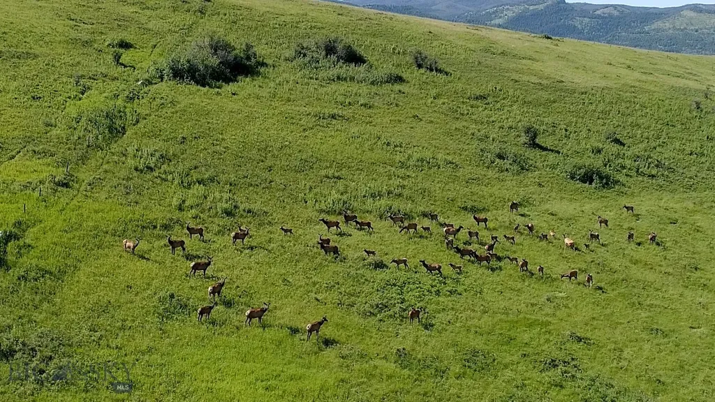13830 (Tract C) Cottonwood Road Bozeman MT 59718