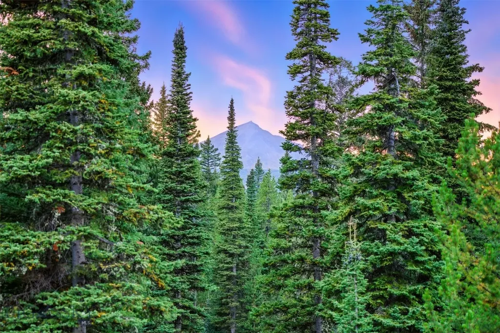 170 Hyalite Drive Big Sky MT 59716