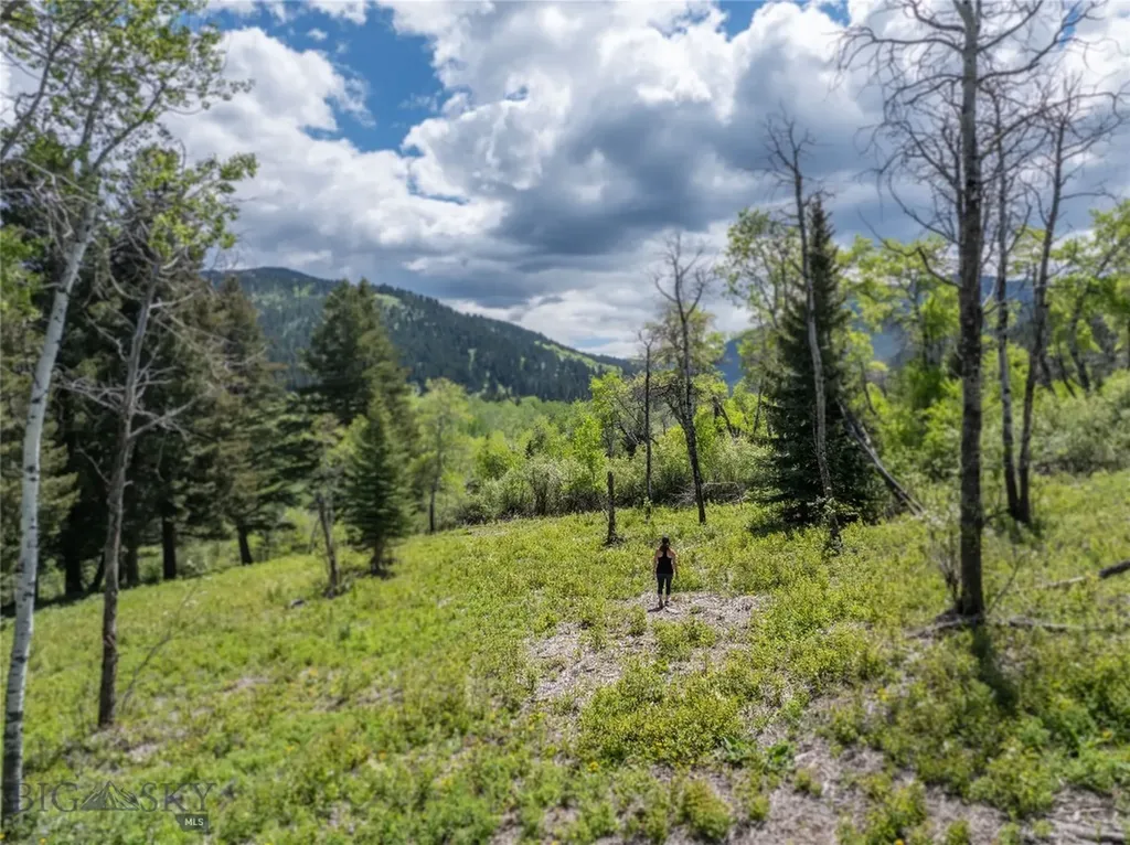 13011 Cottonwood Canyon Road Bozeman MT 59718