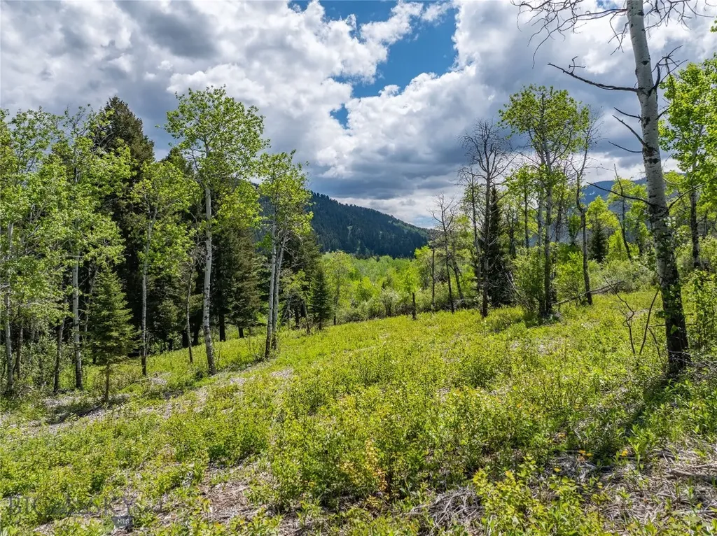 13011 Cottonwood Canyon Road Bozeman MT 59718