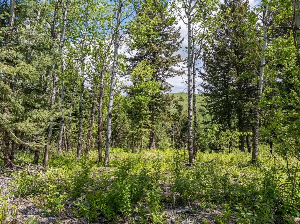 13011 Cottonwood Canyon Road Bozeman MT 59718