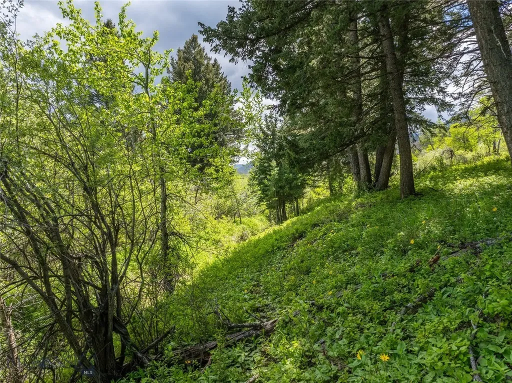 13011 Cottonwood Canyon Road Bozeman MT 59718