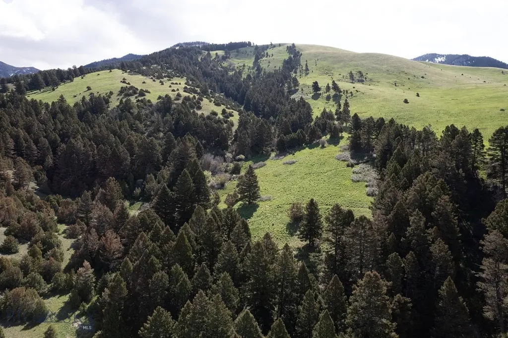 327 Granger Road Cameron MT 59720
