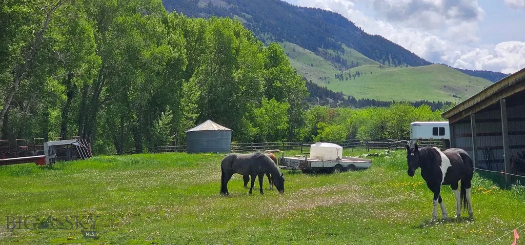 327 Granger Road Cameron MT 59720