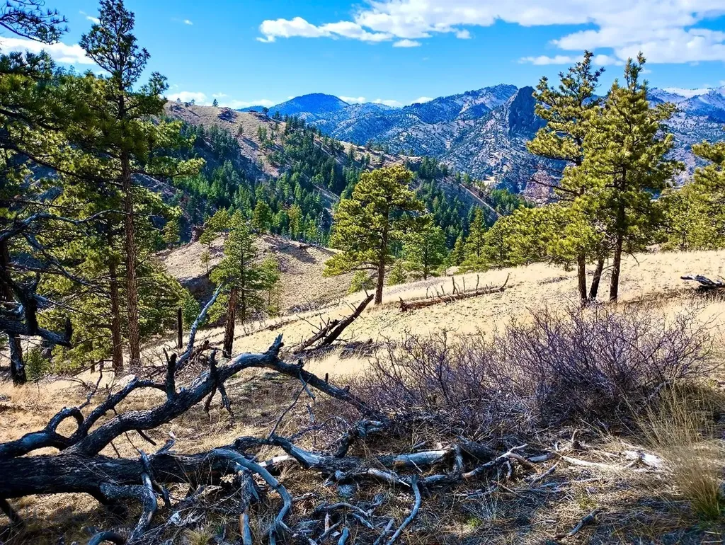 0 Novak Creek Lane Cascade MT 59421