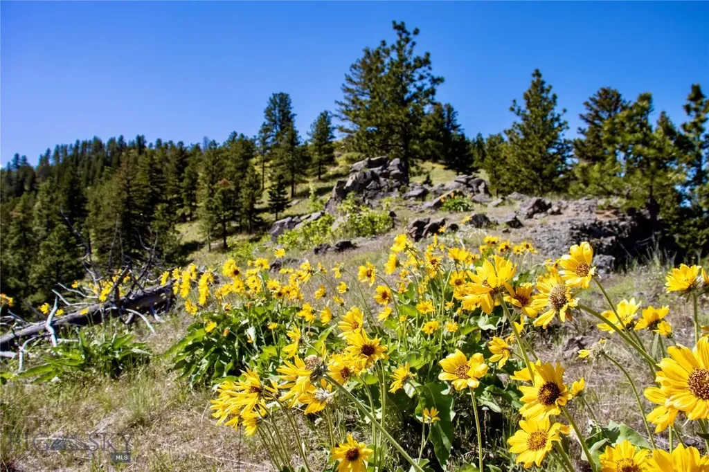0 Novak Creek Lane Cascade MT 59421