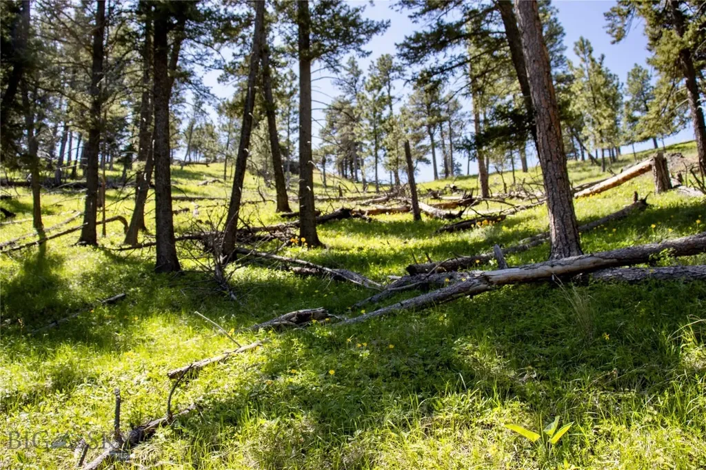 0 Novak Creek Lane Cascade MT 59421