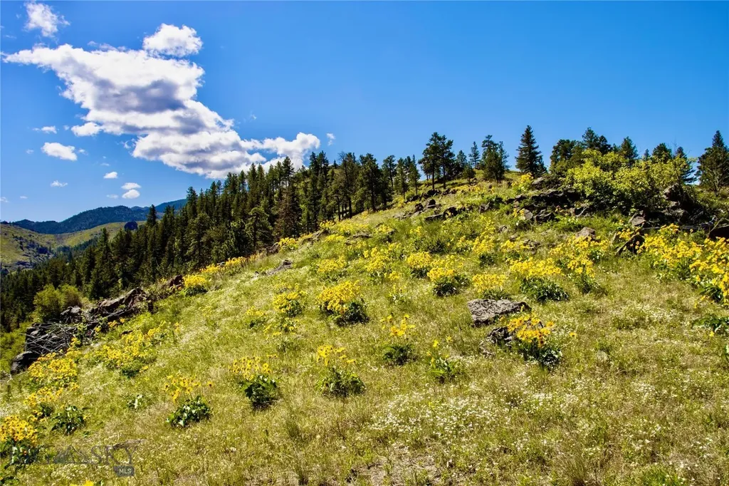 0 Novak Creek Lane Cascade MT 59421