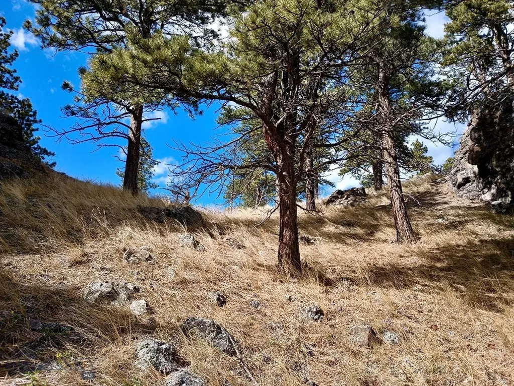 0 Novak Creek Lane Cascade MT 59421
