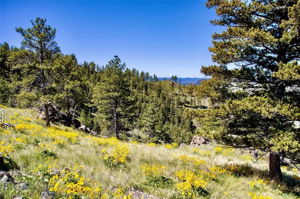 0 Novak Creek Lane Cascade MT 59421