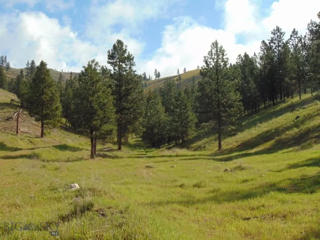 27235 Lazy Springs Road Clinton MT 59825