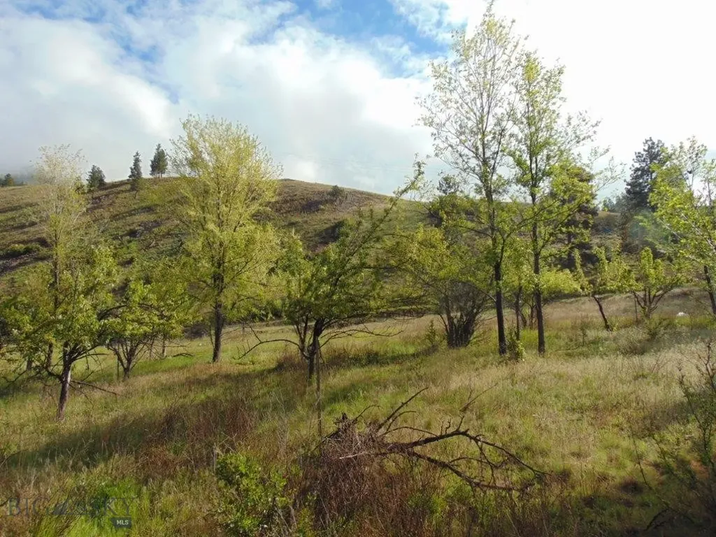 27235 Lazy Springs Road Clinton MT 59825