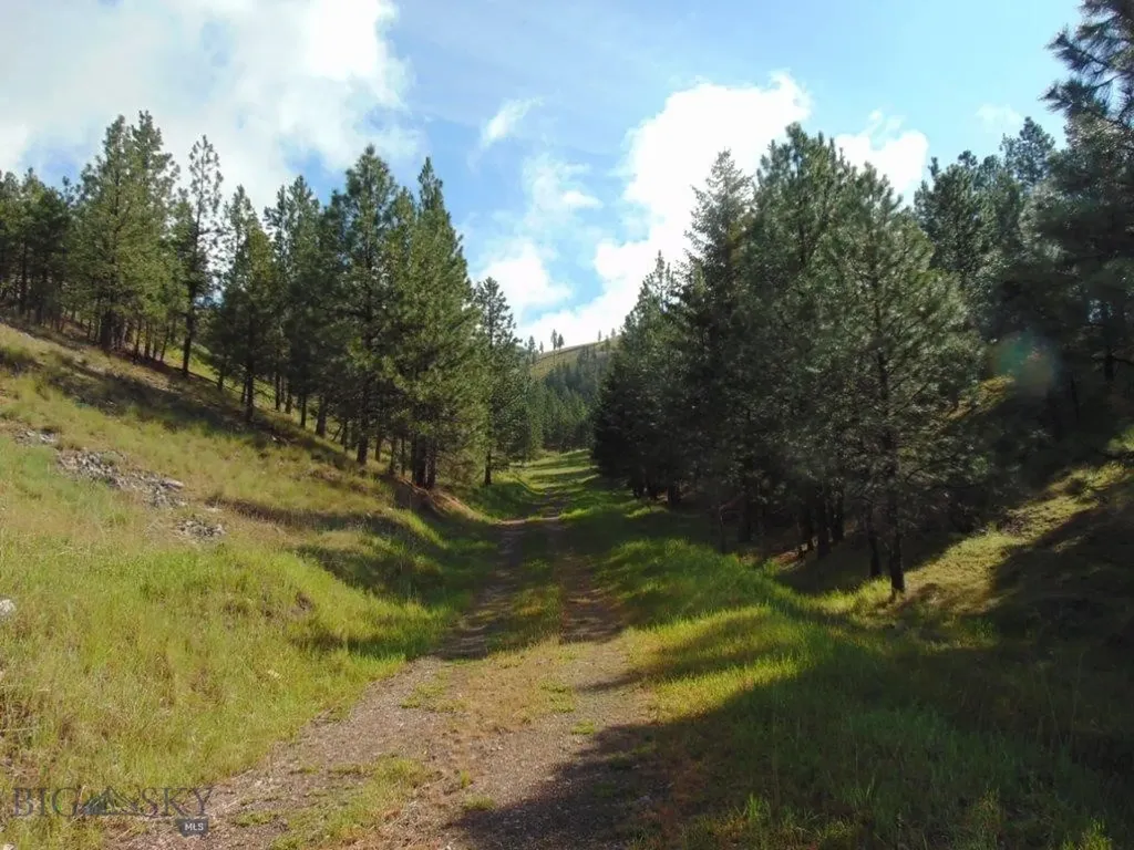 27235 Lazy Springs Road Clinton MT 59825