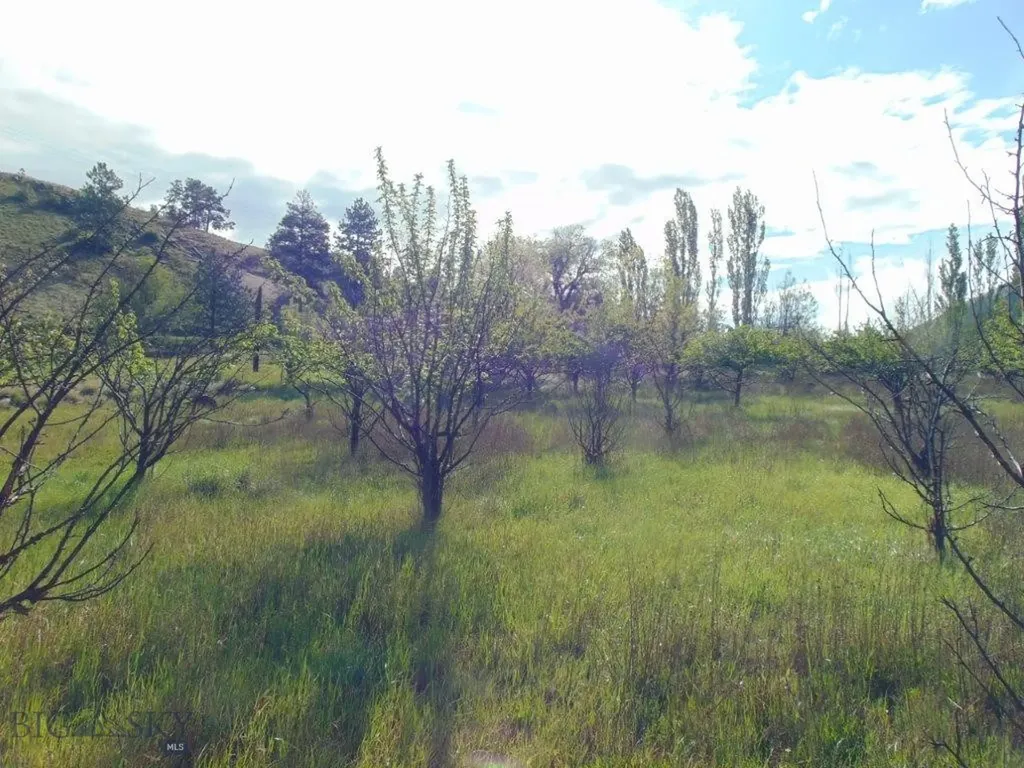 27235 Lazy Springs Road Clinton MT 59825