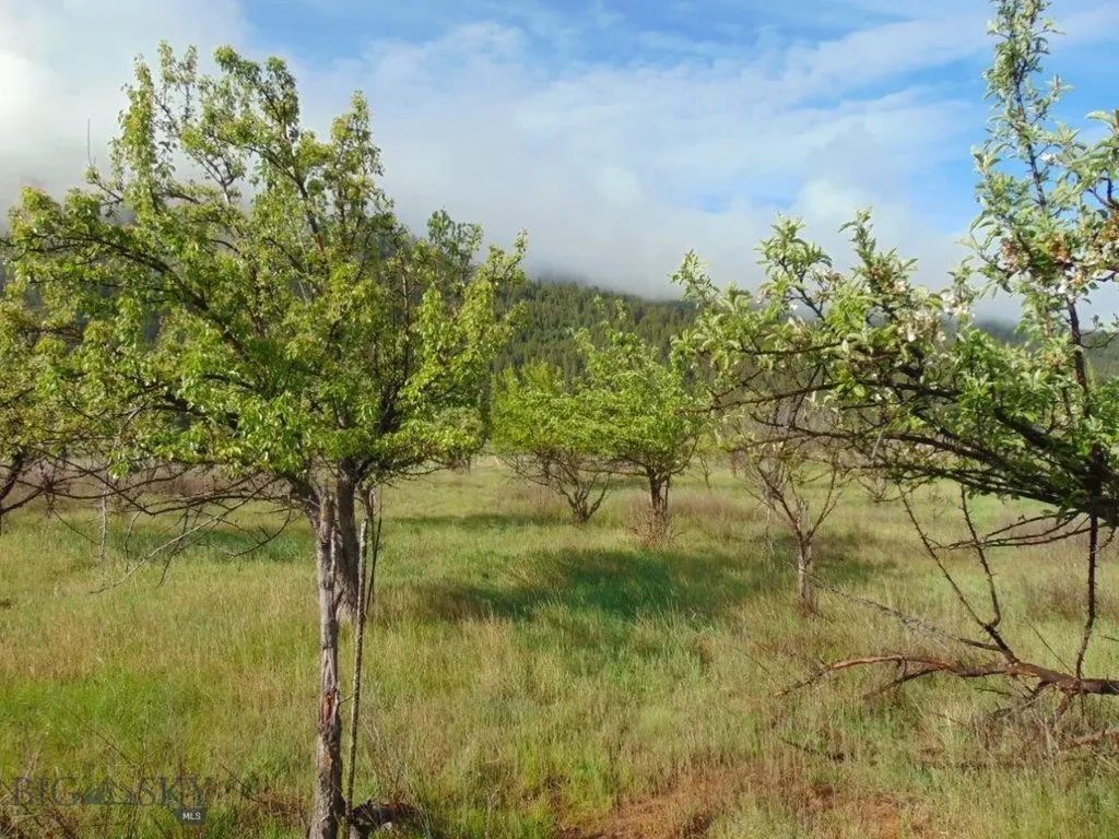 27235 Lazy Springs Road Clinton MT 59825