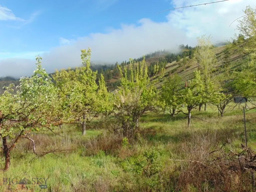 27235 Lazy Springs Road Clinton MT 59825