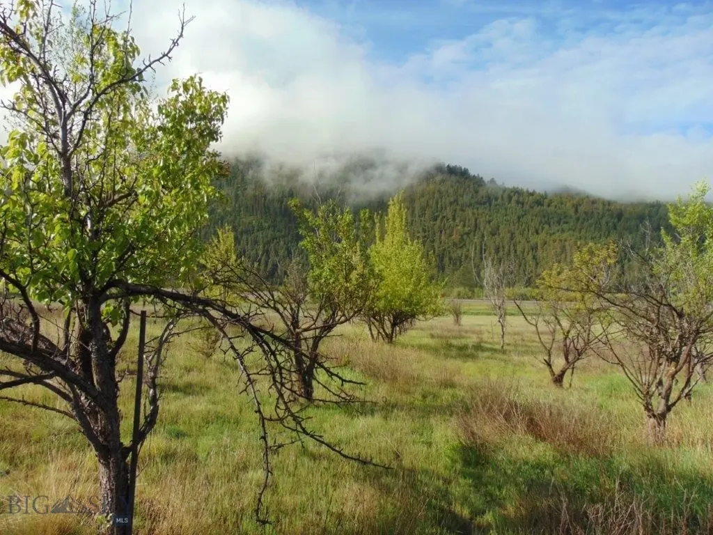 27235 Lazy Springs Road Clinton MT 59825