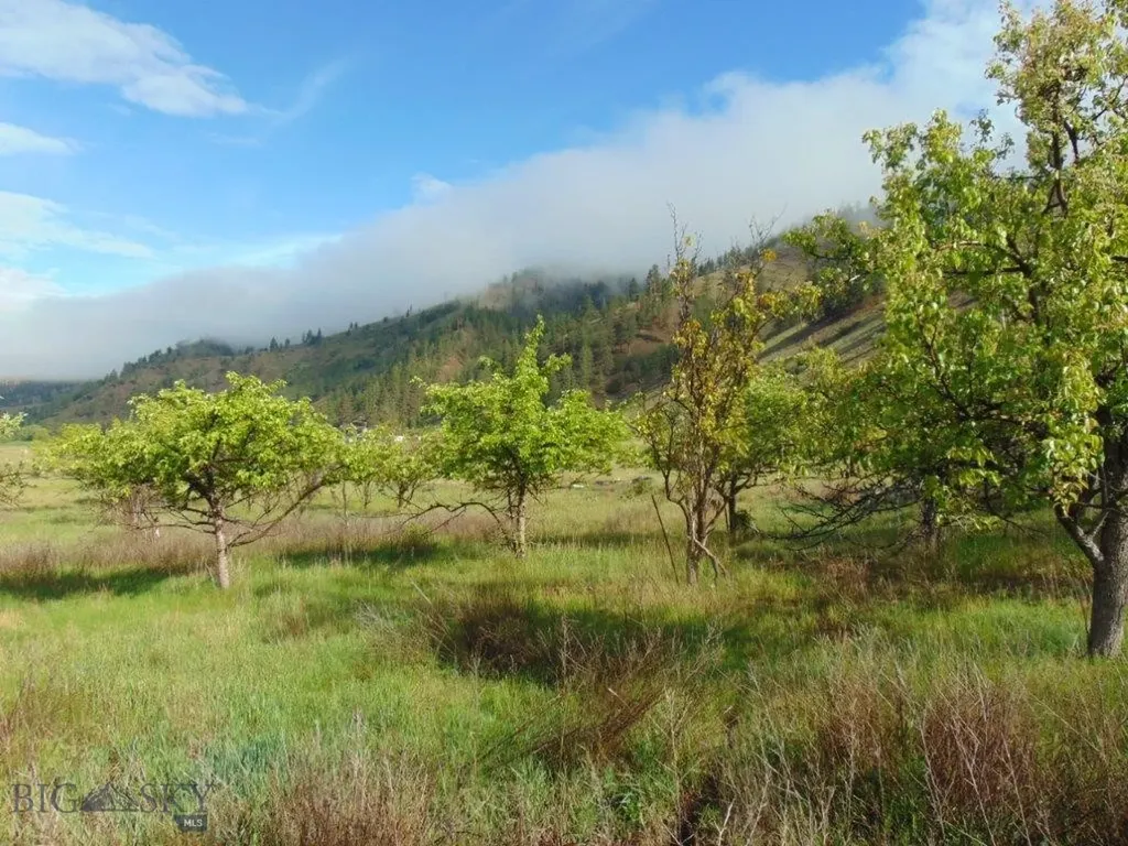 27235 Lazy Springs Road Clinton MT 59825