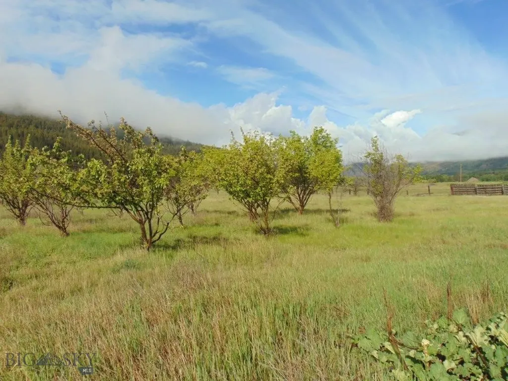 27235 Lazy Springs Road Clinton MT 59825