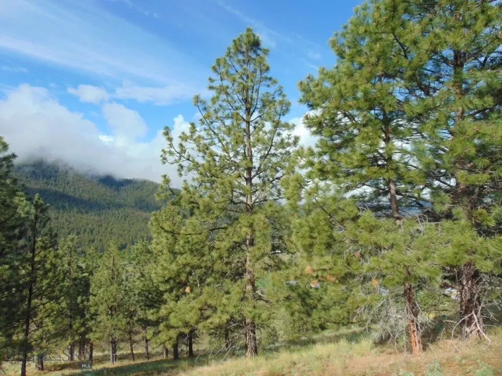 27235 Lazy Springs Road Clinton MT 59825