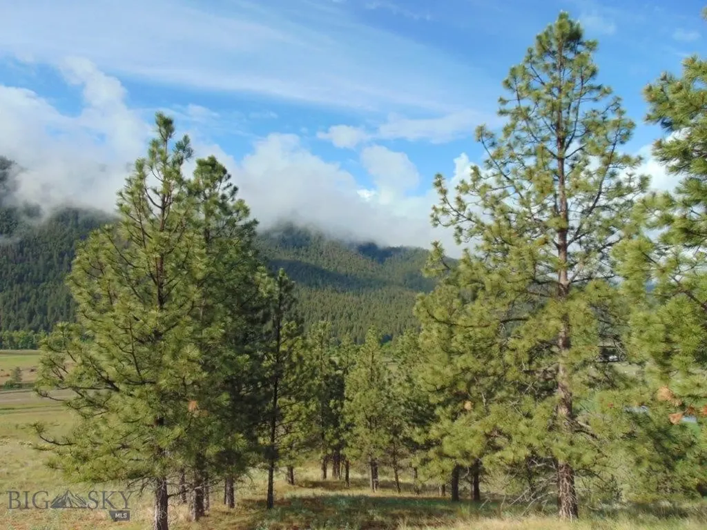 27235 Lazy Springs Road Clinton MT 59825