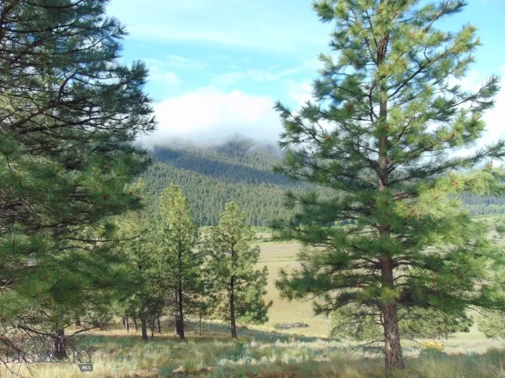 27235 Lazy Springs Road Clinton MT 59825