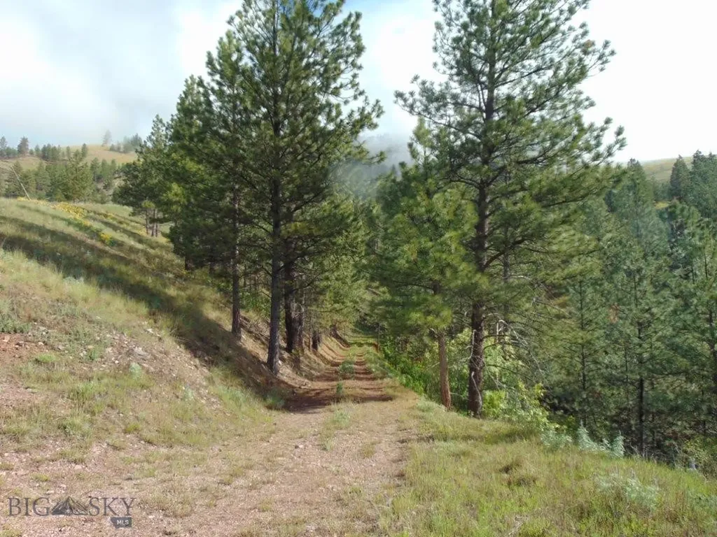 27235 Lazy Springs Road Clinton MT 59825