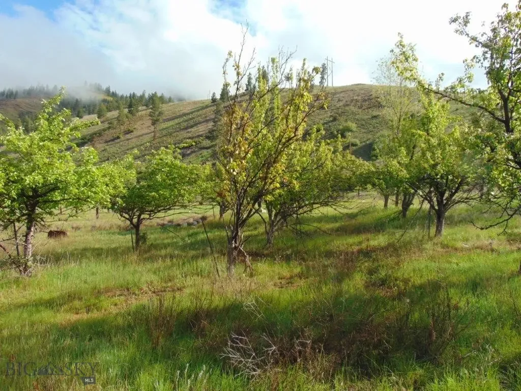 27235 Lazy Springs Road Clinton MT 59825