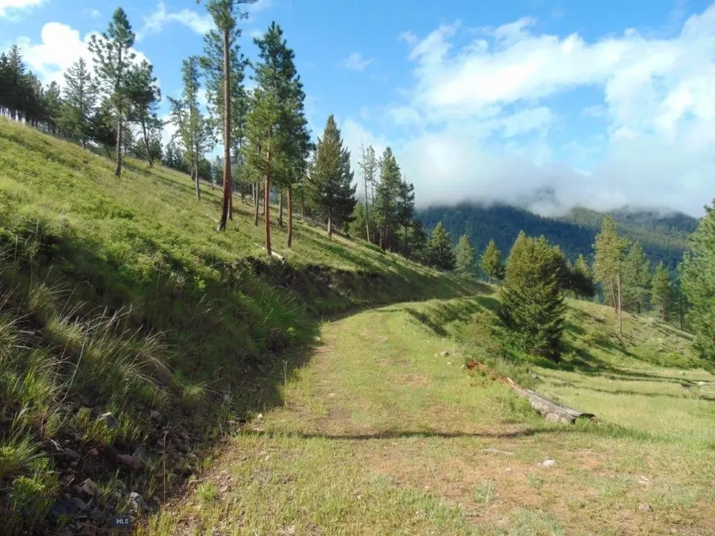 27235 Lazy Springs Road Clinton MT 59825