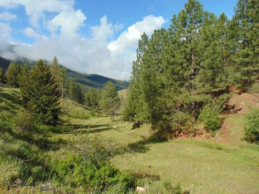 27235 Lazy Springs Road Clinton MT 59825