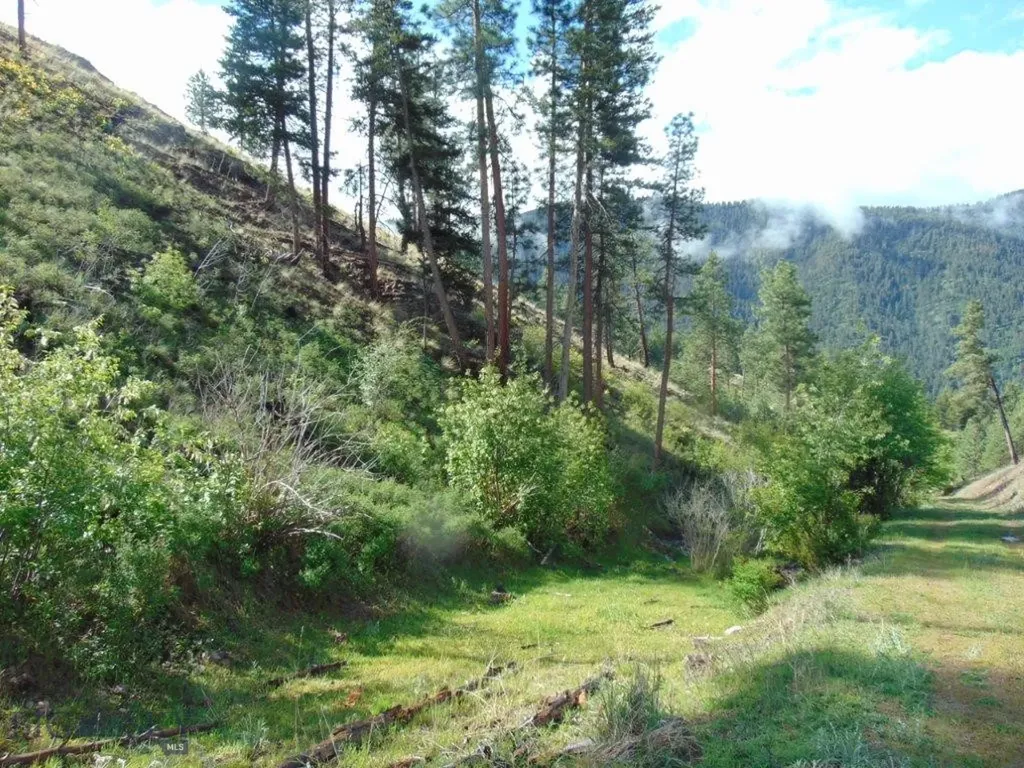 27235 Lazy Springs Road Clinton MT 59825