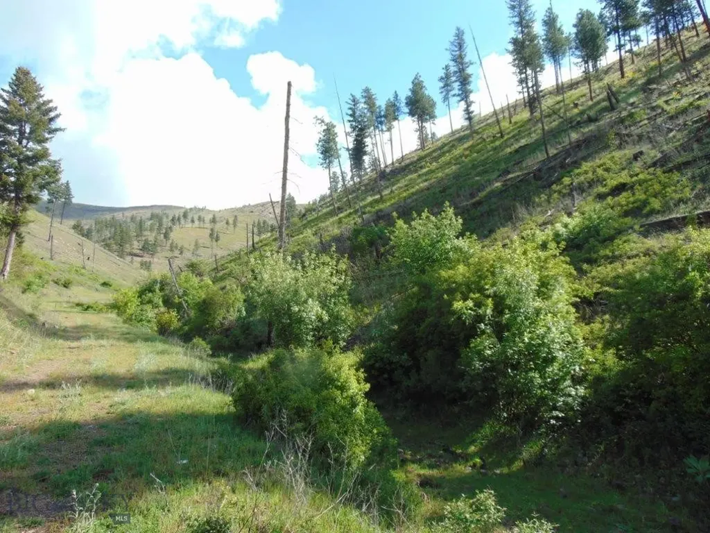 27235 Lazy Springs Road Clinton MT 59825