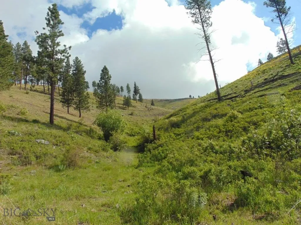 27235 Lazy Springs Road Clinton MT 59825