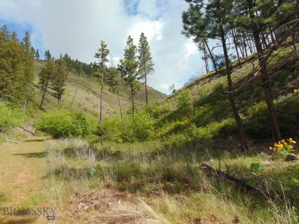 27235 Lazy Springs Road Clinton MT 59825