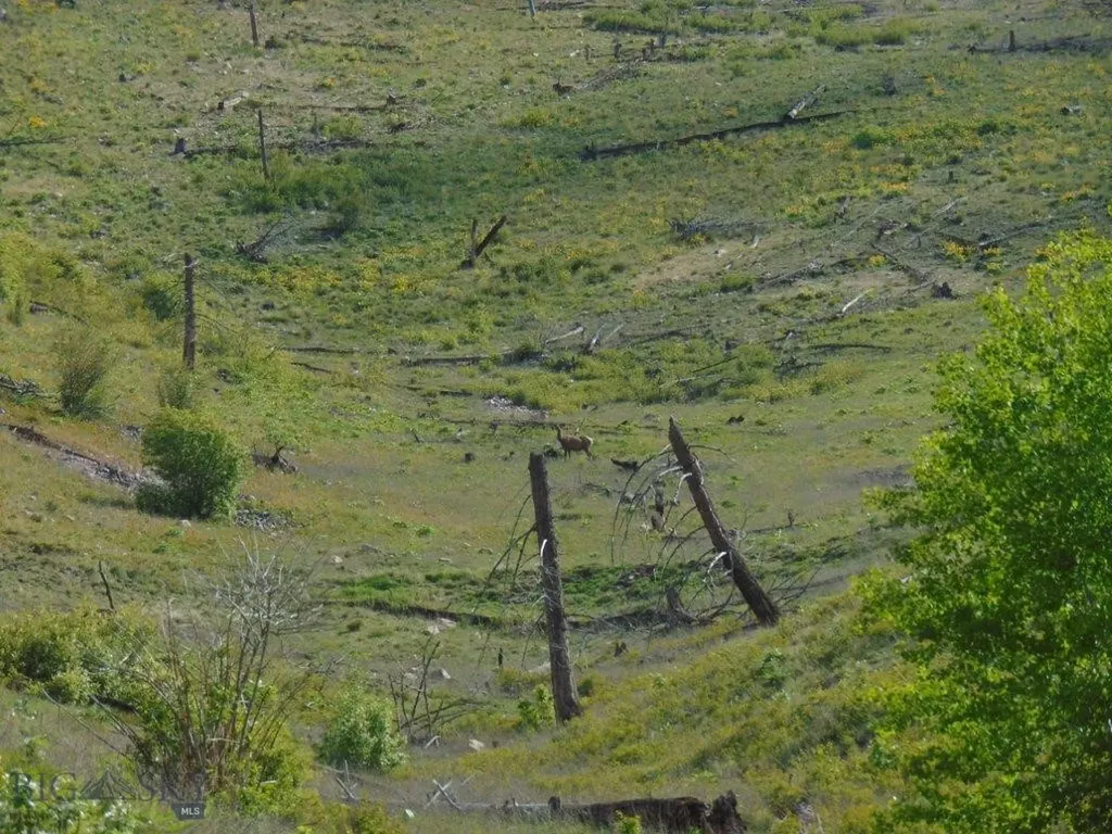 27235 Lazy Springs Road Clinton MT 59825