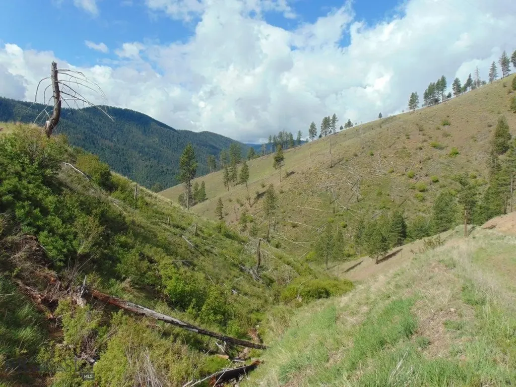 27235 Lazy Springs Road Clinton MT 59825
