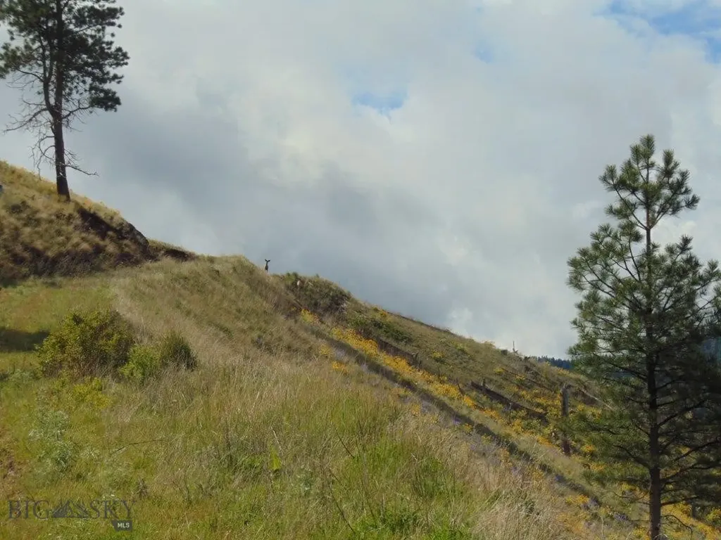 27235 Lazy Springs Road Clinton MT 59825