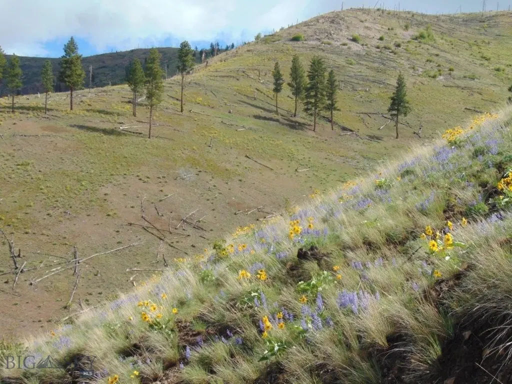 27235 Lazy Springs Road Clinton MT 59825