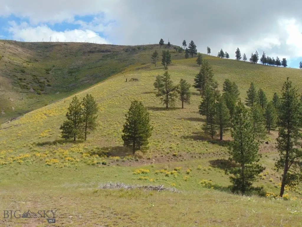 27235 Lazy Springs Road Clinton MT 59825