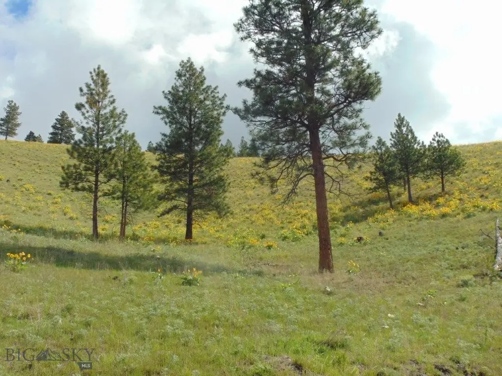 27235 Lazy Springs Road Clinton MT 59825