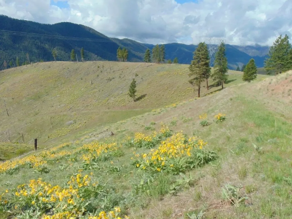 27235 Lazy Springs Road Clinton MT 59825