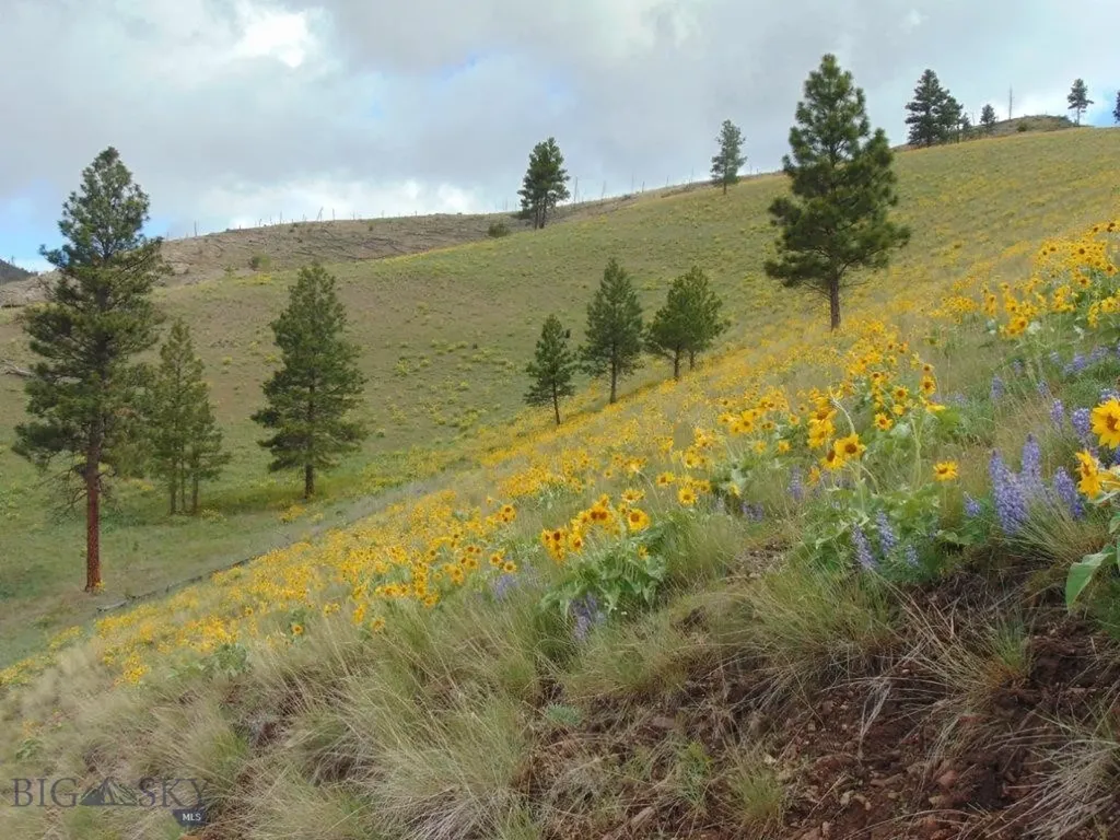 27235 Lazy Springs Road Clinton MT 59825