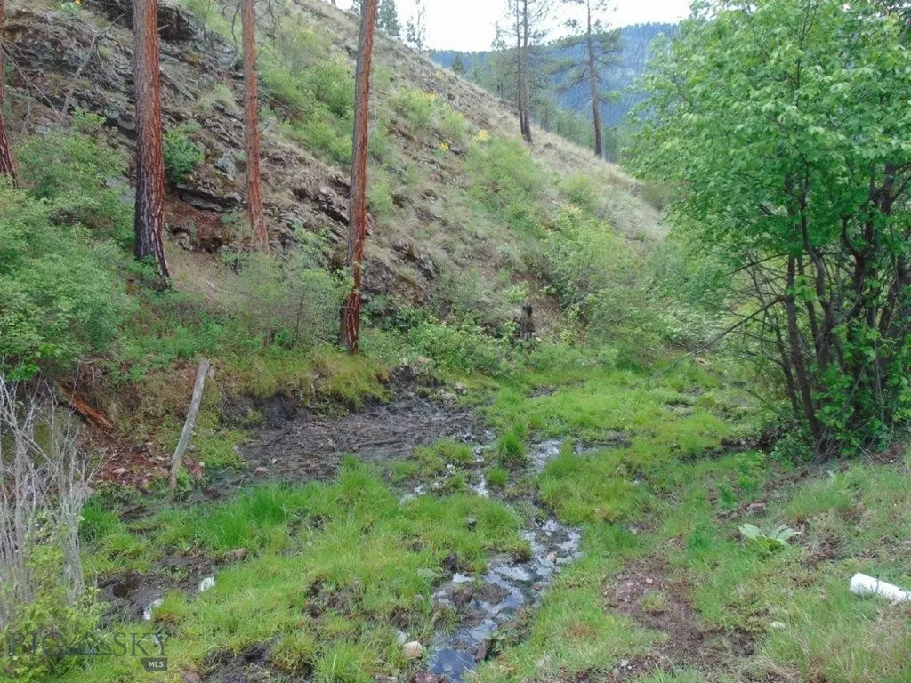 27235 Lazy Springs Road Clinton MT 59825