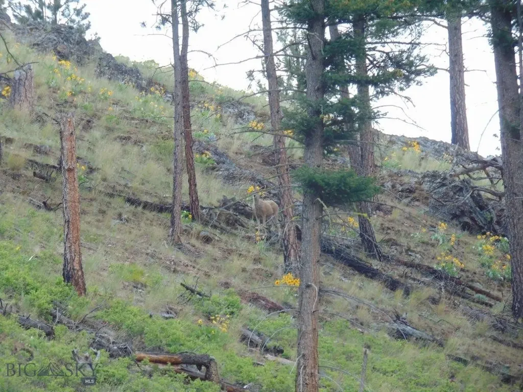 27235 Lazy Springs Road Clinton MT 59825