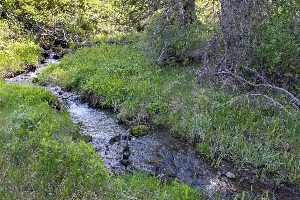 3096 Woodchuck Road Bozeman MT 59715