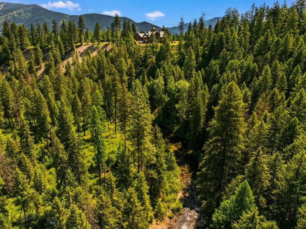 135 Squire Lane South Trout Creek MT 59874