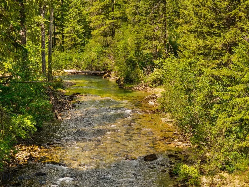 135 Squire Lane South Trout Creek MT 59874