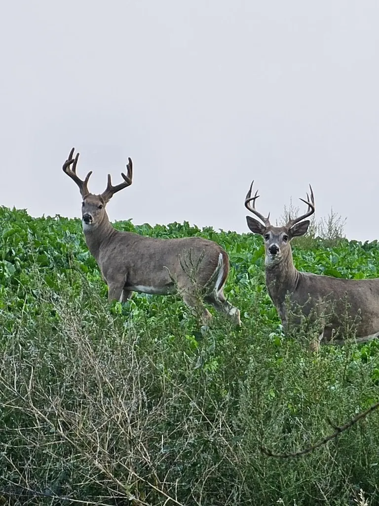 Tbd 147a Hardin MT 59024