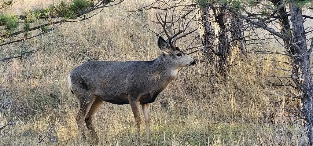 Tbd 147a Hardin MT 59024